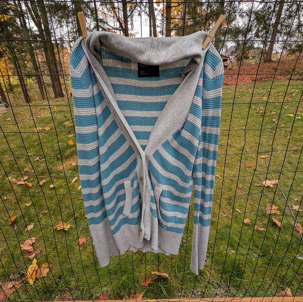 American Eagle Outfitters Gray and Teal Striped Cardigan